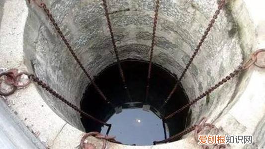 世界上真的有龙吗？附：关于龙存在的灵异事件和客观证据