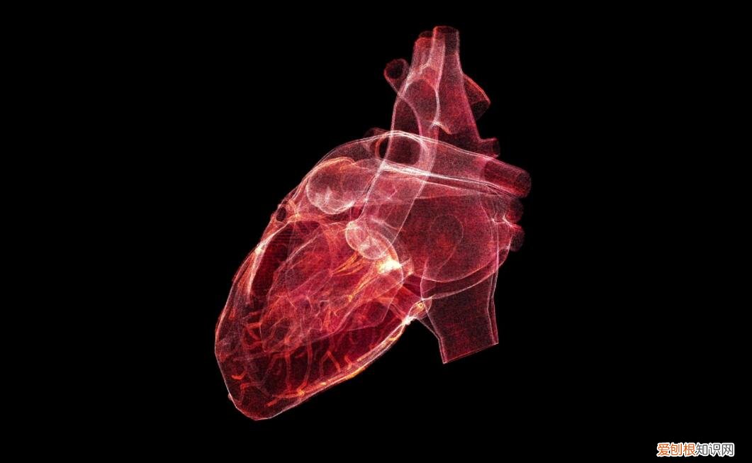 人死亡了去哪了？看看科学是怎么解释的