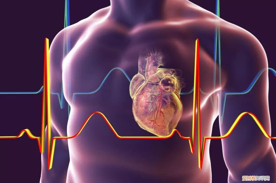 人死亡了去哪了？看看科学是怎么解释的