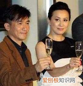 至今不生育另有起因 刘嘉玲不能生育的原因