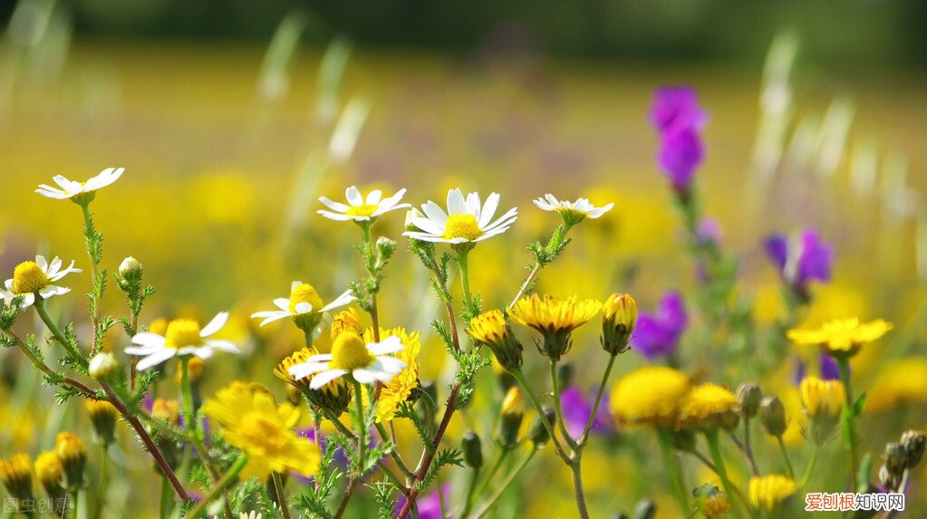 把思念描述到极致的文案 想念情人的高情商短句