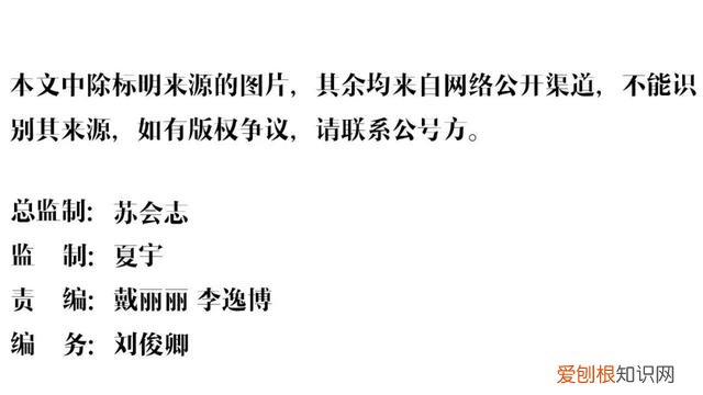 梅姨为什么偷小孩