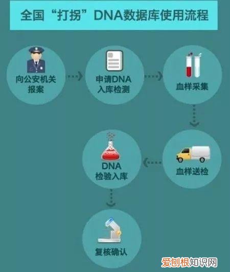 梅姨为什么偷小孩