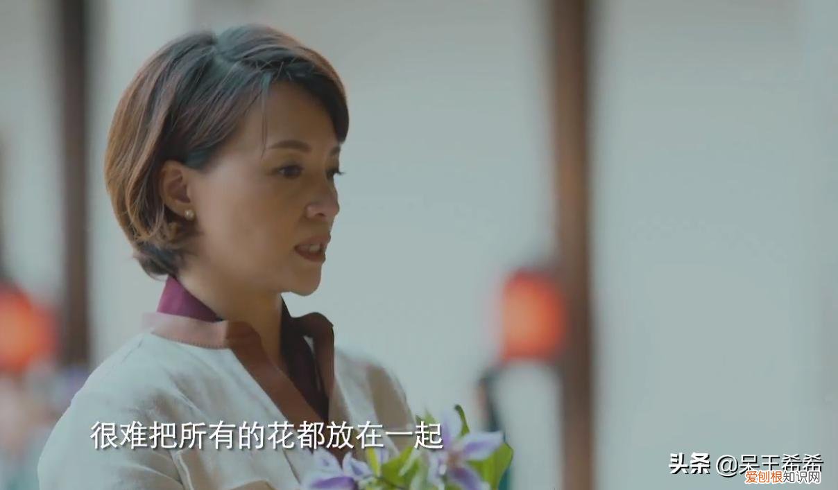 央视主持人董卿去哪了? 董卿为什么被央视解雇原因