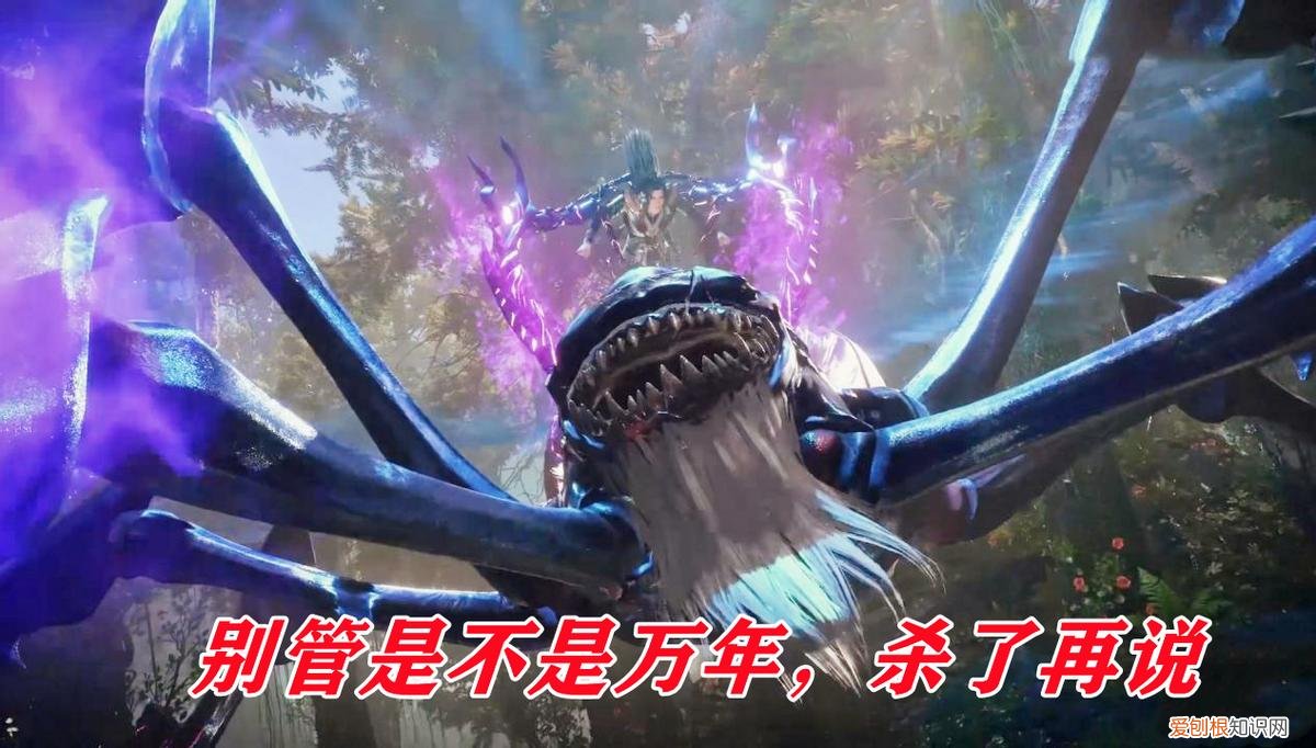 小舞是否真的活了十万年? 小舞真的存在吗