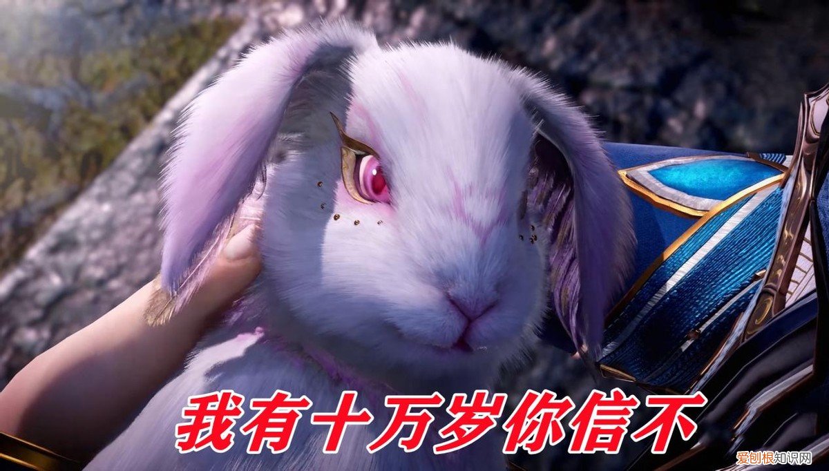 小舞是否真的活了十万年? 小舞真的存在吗