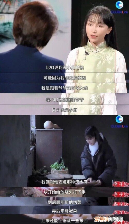 李子柒事件是怎么回事