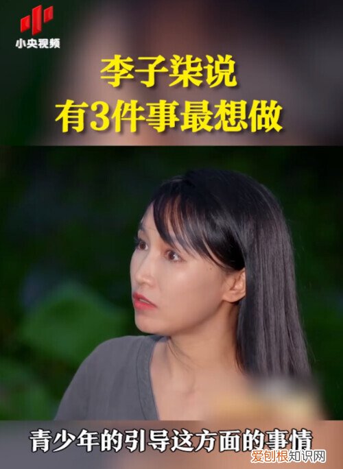 李子柒事件是怎么回事