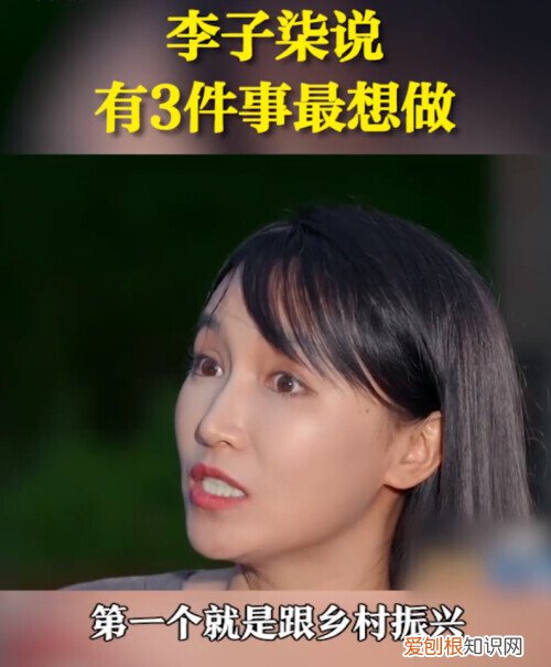 李子柒事件是怎么回事