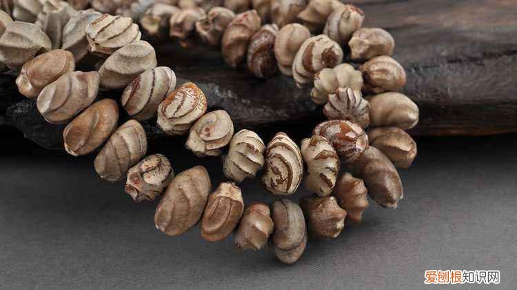 一般很难买得到 为什么玩六道木手串的人少