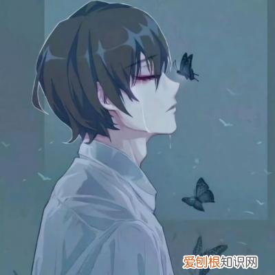 南康白起浮生六记在哪里可以看？