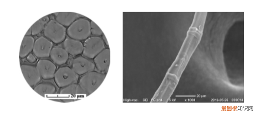 为什么让我们觉得凉快? 冰丝面料是什么材质