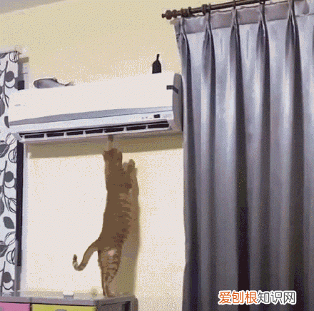 夏天空调应该开多少度适合？最好别低于26℃