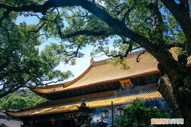 附：普陀山拜佛详细攻略 去普陀山拜佛的讲究和注意事项