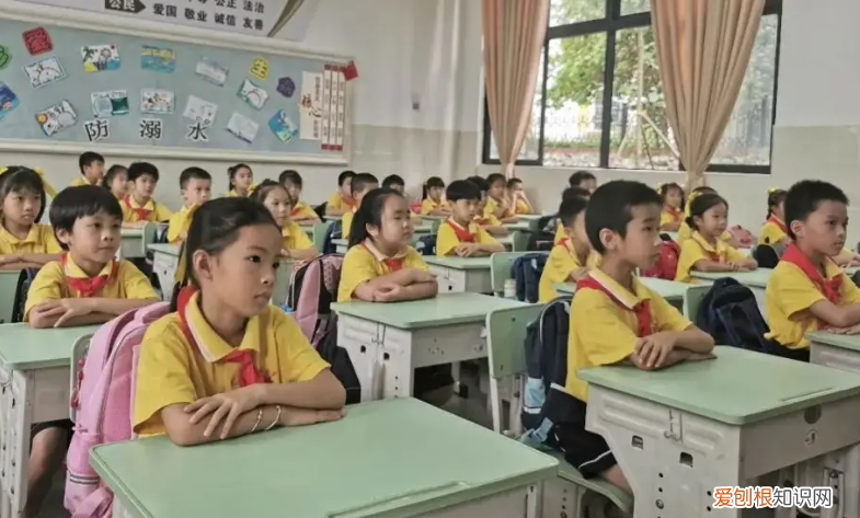 被实名举报，被指出“夹带私货” 曹文轩出什么事了