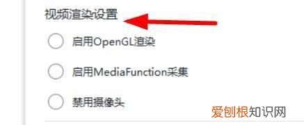 学而思怎么禁用开启摄像头，掌门一对一怎么关闭摄像头