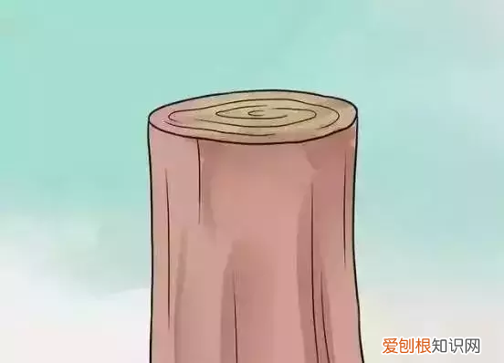 如何嫁接果树？果树上最常用的5种嫁接法