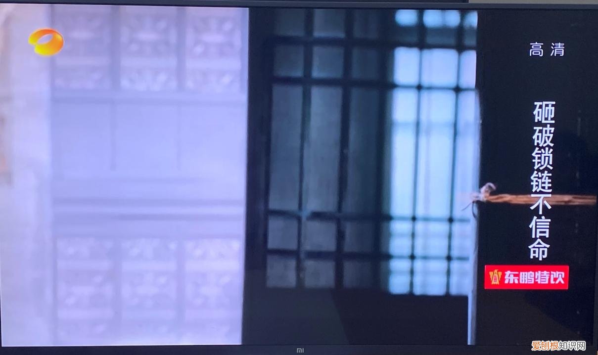 教你一种免费的方法，很简单 小米电视怎么看电视直播