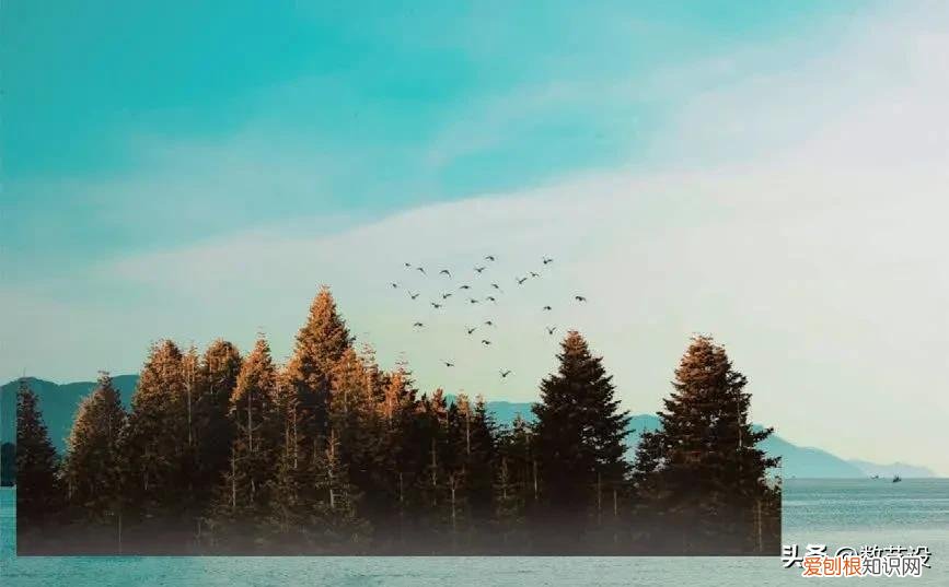 通道抠图还不会吗?最后再学一遍 ps通道抠图技巧