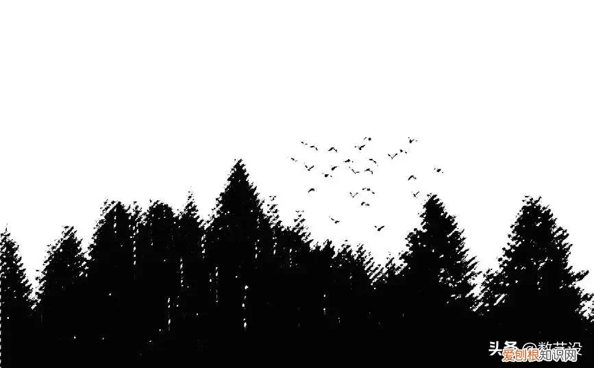 通道抠图还不会吗?最后再学一遍 ps通道抠图技巧