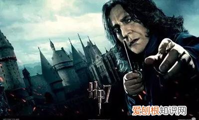 哈利波特人物介绍 哈利波特死了8个演员