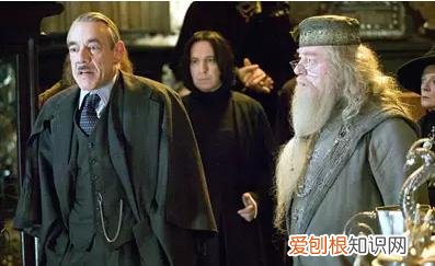 哈利波特人物介绍 哈利波特死了8个演员