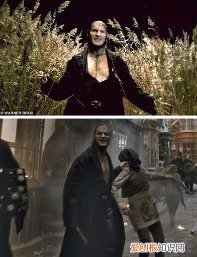 哈利波特人物介绍 哈利波特死了8个演员