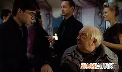 哈利波特人物介绍 哈利波特死了8个演员