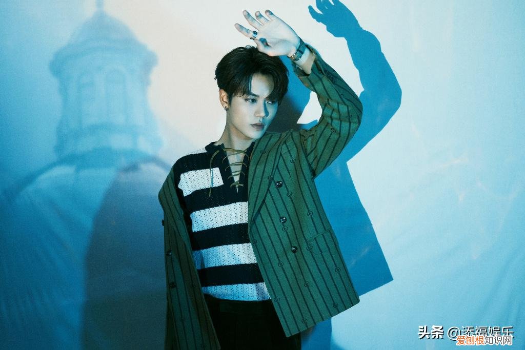 林彦俊被公司雪藏? 林彦俊出了什么事了