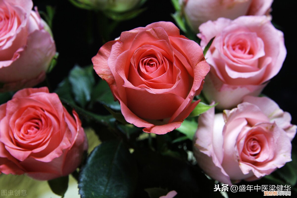 喝玫瑰花茶有什么好处？中医告诉你 玫瑰花泡水喝的9大禁忌