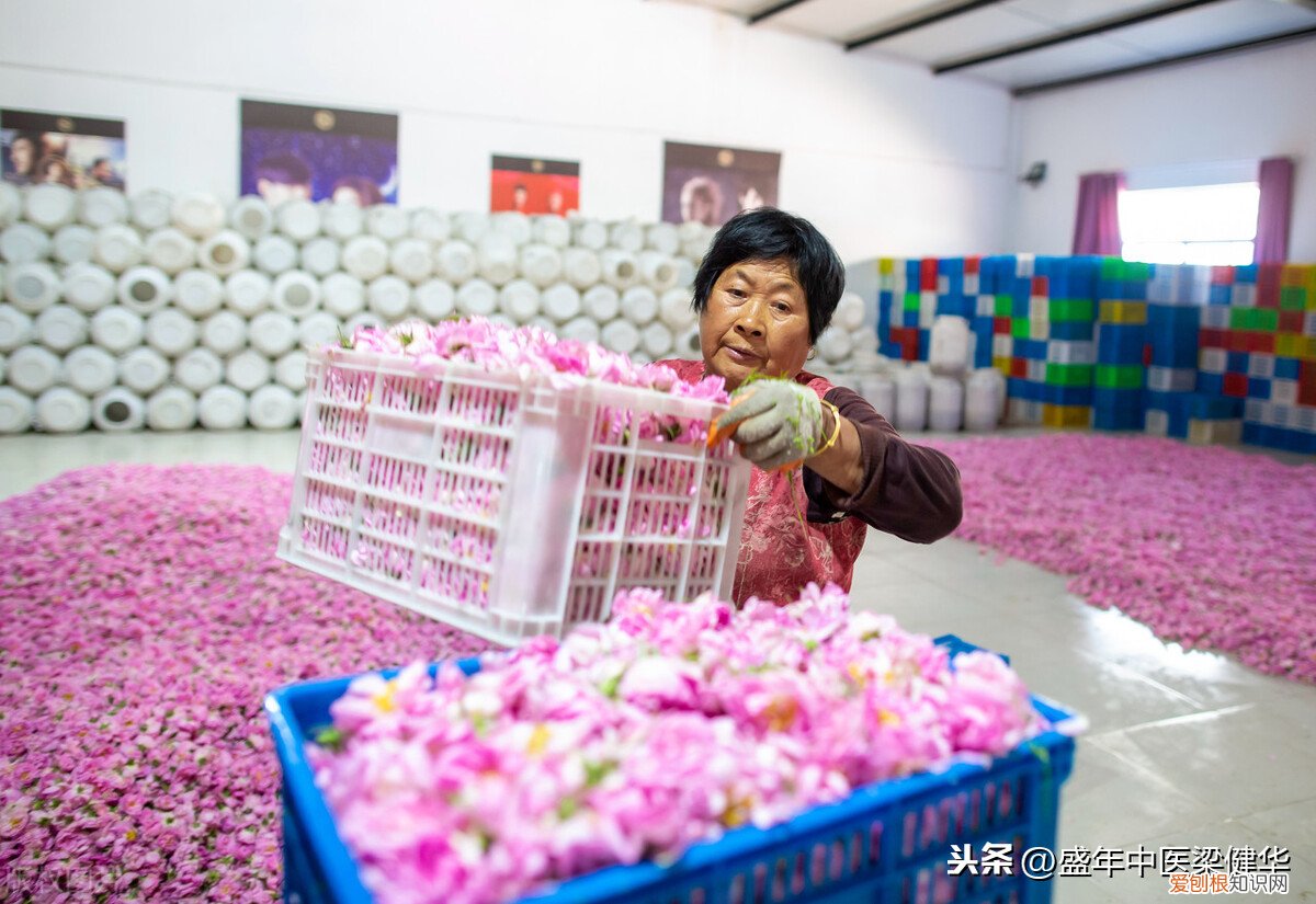 喝玫瑰花茶有什么好处？中医告诉你 玫瑰花泡水喝的9大禁忌