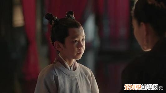 宋仁宗赵祯为什么没有儿子？宋仁宗赵祯的简介