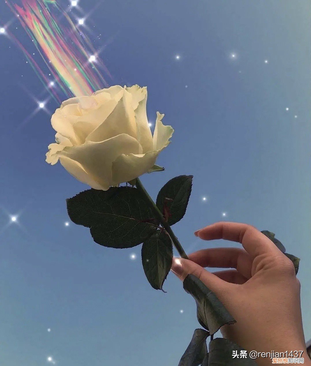 会者定离一期一祈是啥意思？附：含义深度解析