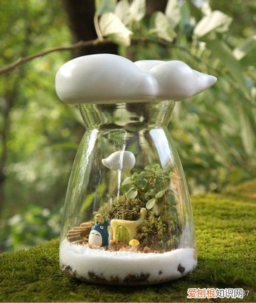 会者定离一期一祈是啥意思？附：含义深度解析