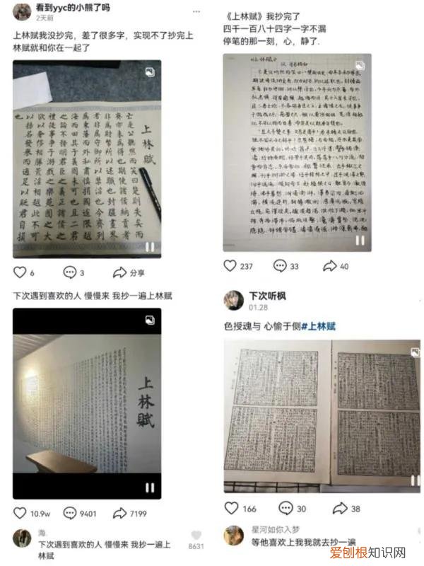 为何全网手抄上林赋如此火热? 为什么要抄上林赋