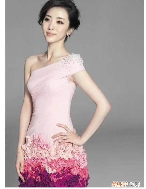 三年生两个娃，风光的背后有泪水 李思思的个人资料简介