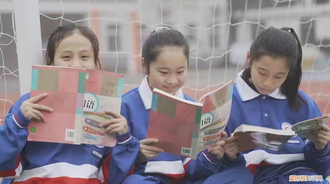 差距很明朗，千万别选错 公办学校和民办学校的区别