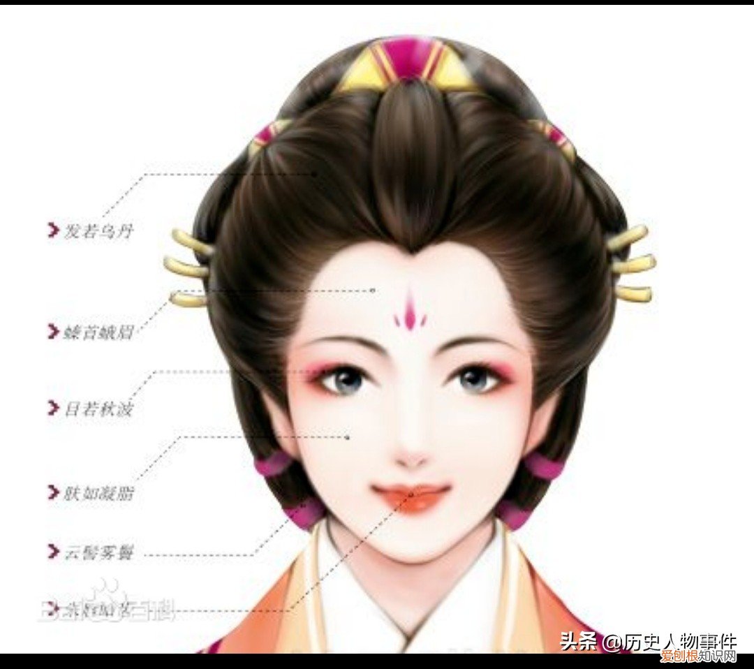 柔荑指女子的什么地方，指女子柔嫩洁白的手