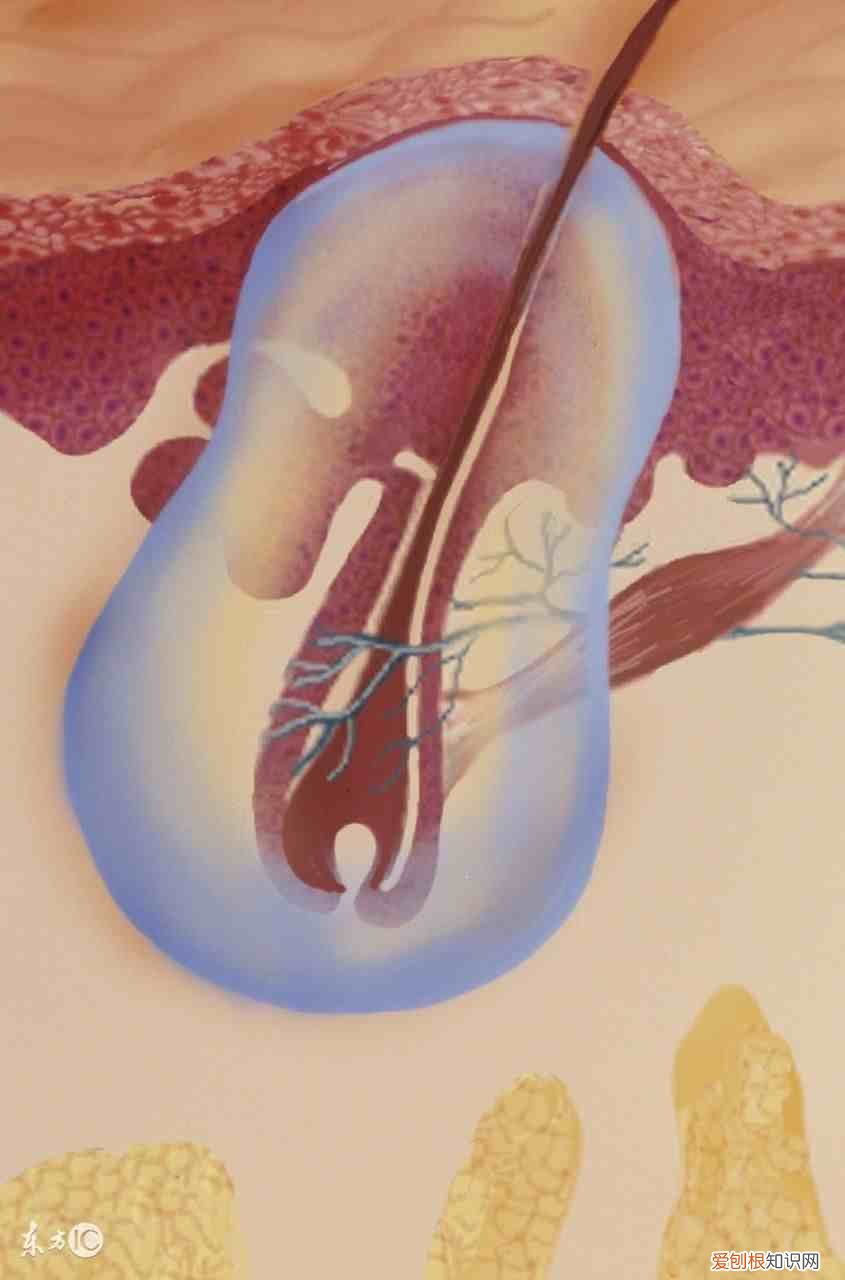 目前治疗毛囊炎都有哪些有效的药物 毛囊炎用什么药最有效