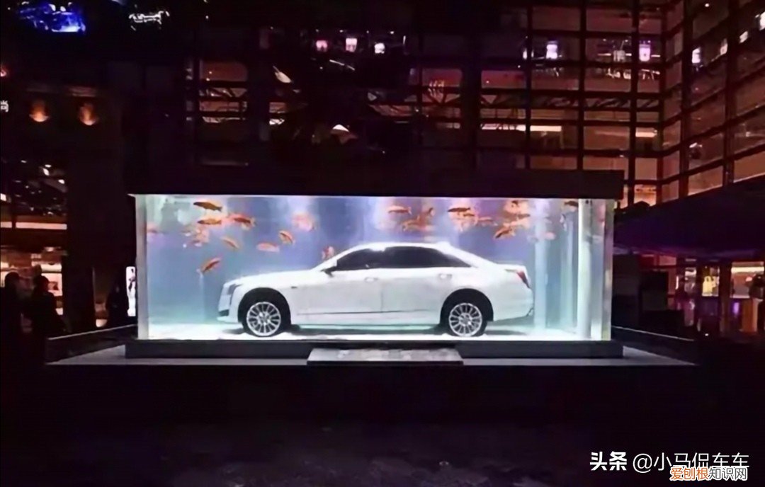 凯迪拉克追高铁事件是真实的吗？事件视频系拼接，都是假的