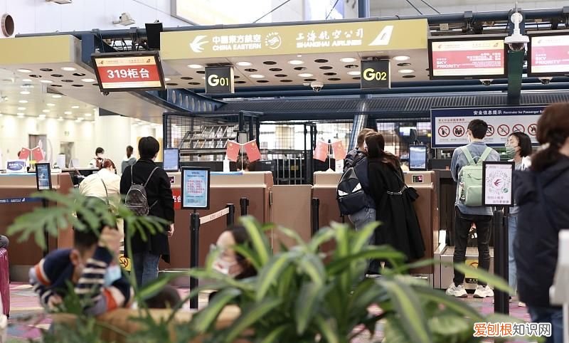 张萌罕见携丈夫走机场 张萌老公张海苍资料及照片