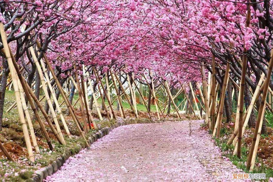 沾上一个就能翻身!  5种征兆要发财