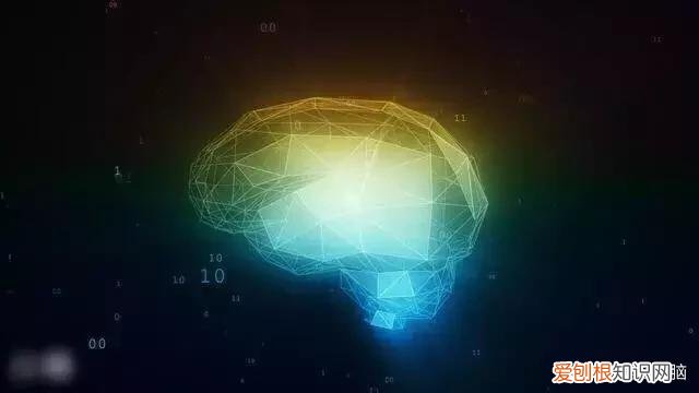 你属于哪种思维优势？ 左脑思维和右脑思维有什么区别