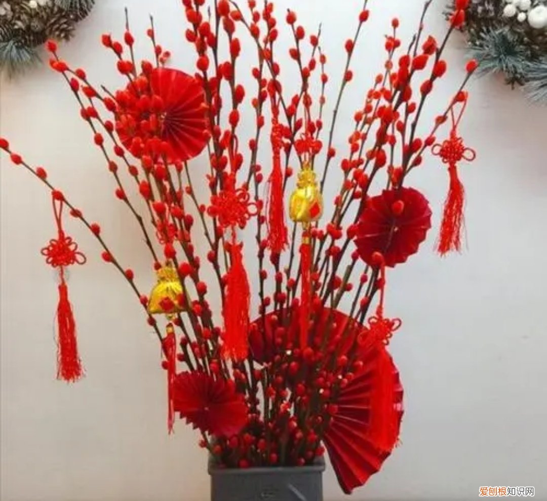 银柳是干养还是水培？其实这两种方法都是可以的