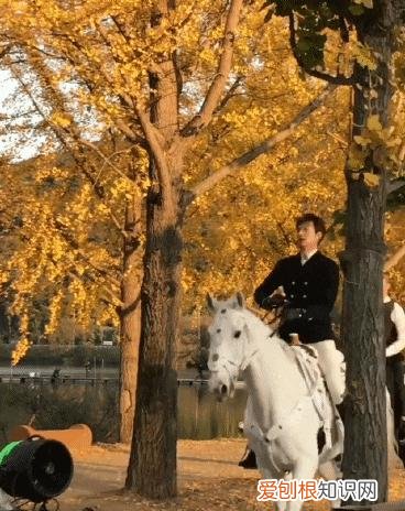 长腿欧巴是谁？韩国第一长腿欧巴——33岁李敏镐