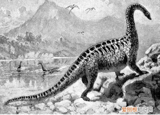 最大的恐龙是地震龙 阿根廷龙比地震龙大吗