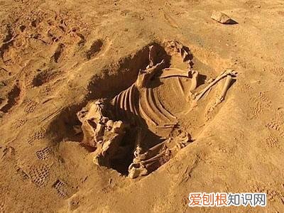 楼兰古城为什么是禁区？楼兰遗址为什么不能进入