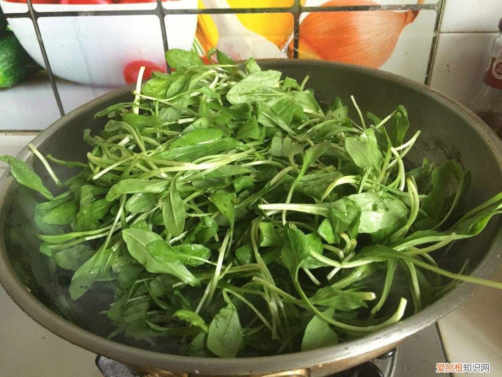 马兰头的功效与食用禁忌 马兰头图片功效与作用