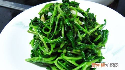 马兰头的功效与食用禁忌 马兰头图片功效与作用