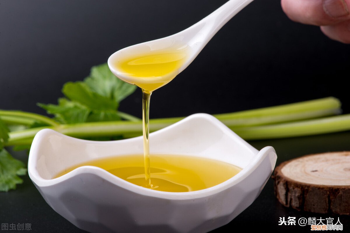 非转基因食用油能吃吗？“非转基因油”和“转基因油”有啥区别？